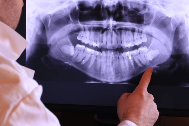 Best Emergency X-Rays and Diagnostics in Brockport, NY