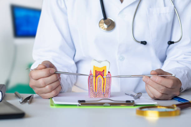 Best Walk-In Emergency Dental Services in Brockport, NY